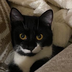 Meet your Posher, Erica